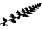 Pteridophytes